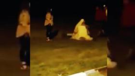 Una boda termina en batalla campal con la novia a puñetazo limpio / TWITTER