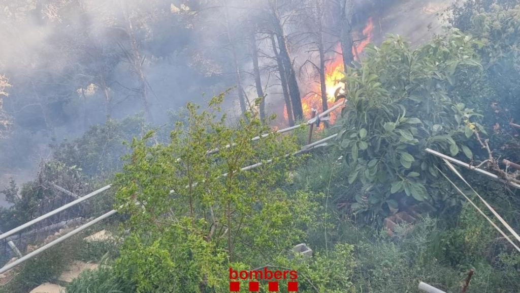 Los Bombers de la Generalitat trabajan en la extinción de un incendio / BOMBERS
