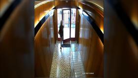 Una de las mujeres al acabar la estafa en el portal de uno de los edificios en los que operaba / MOSSOS D'ESQUADRA