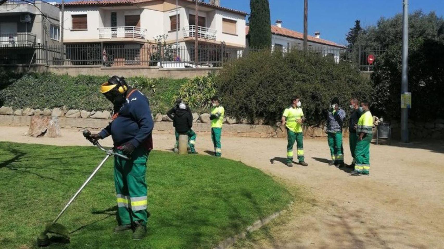 Peones de jardinería durante su etapa de formación / AYUNTAMIENTO DE MATARÓ