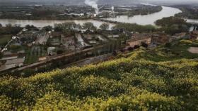 El rio Ebro, uno de los caudales catalanes estudiados / EFE