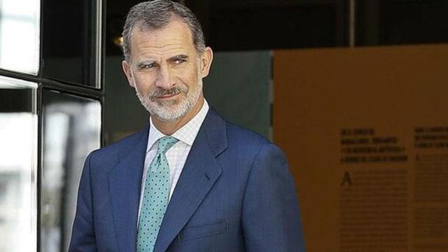El Rey Felipe VI, en una imagen de archivo / EFE