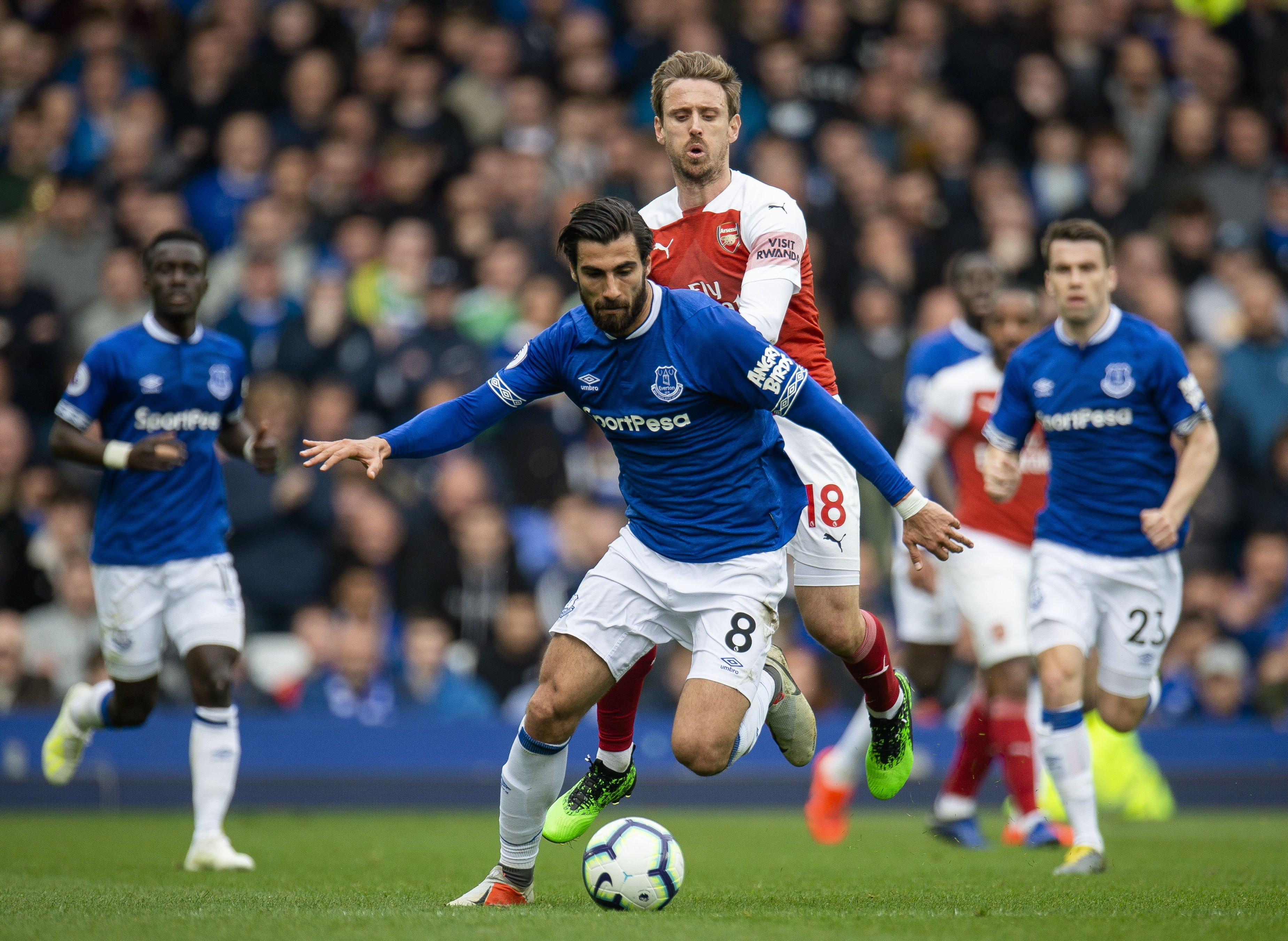 André Gomes en el Everton - Arsenal de este fin de semana / EFE