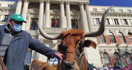 Protesta ante el Ministerio de Agricultura, Pesca y Alimentación / Efe