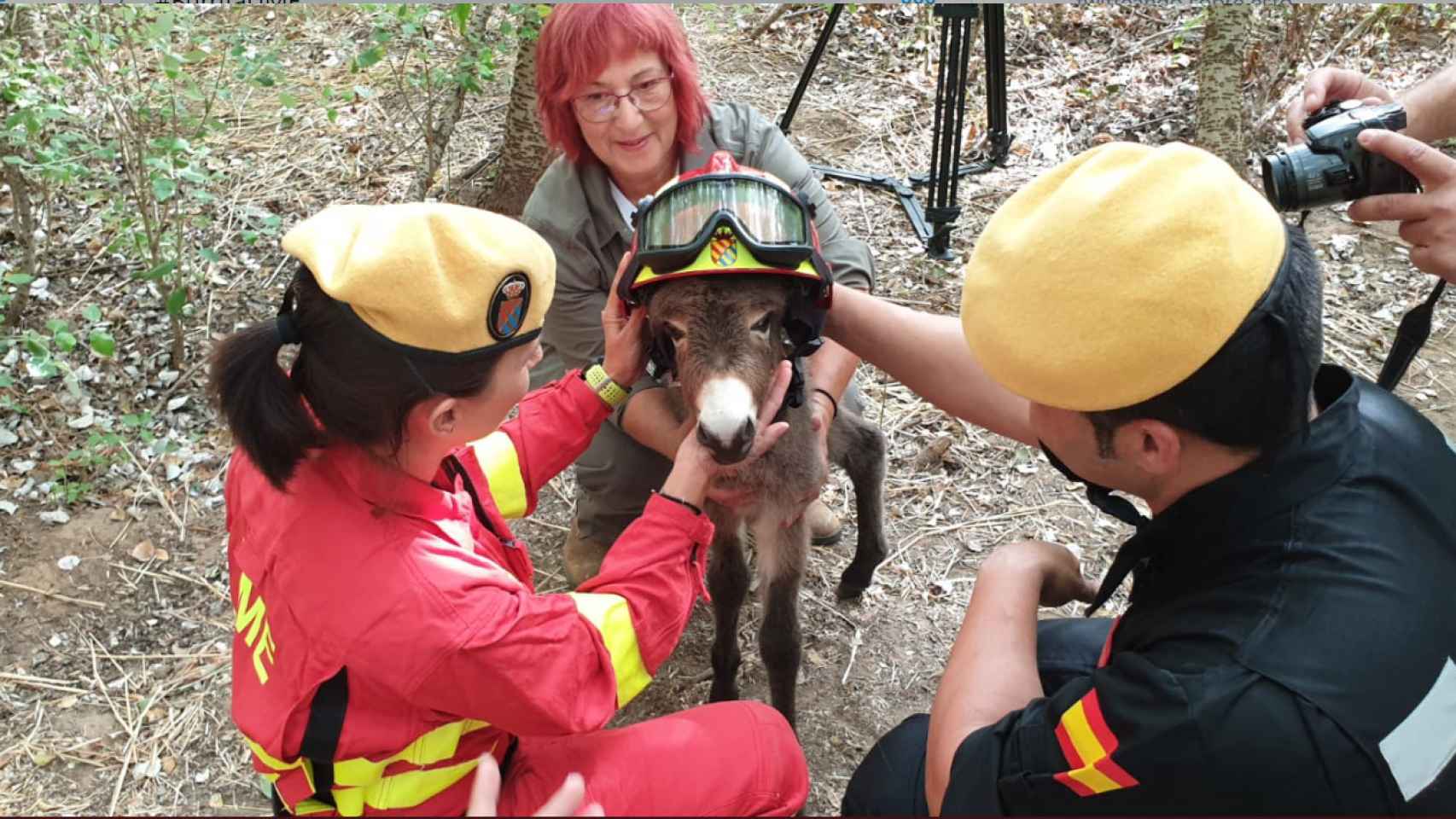 Un burro bombero de la UME / TWITTER