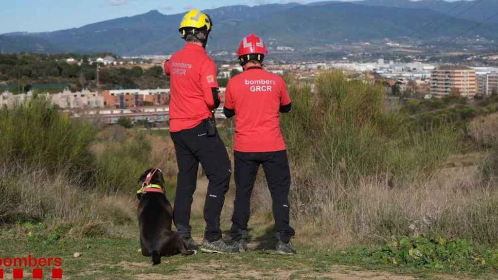 Los bomberos durante un operativo de búsqueda / EUROPA PRESS