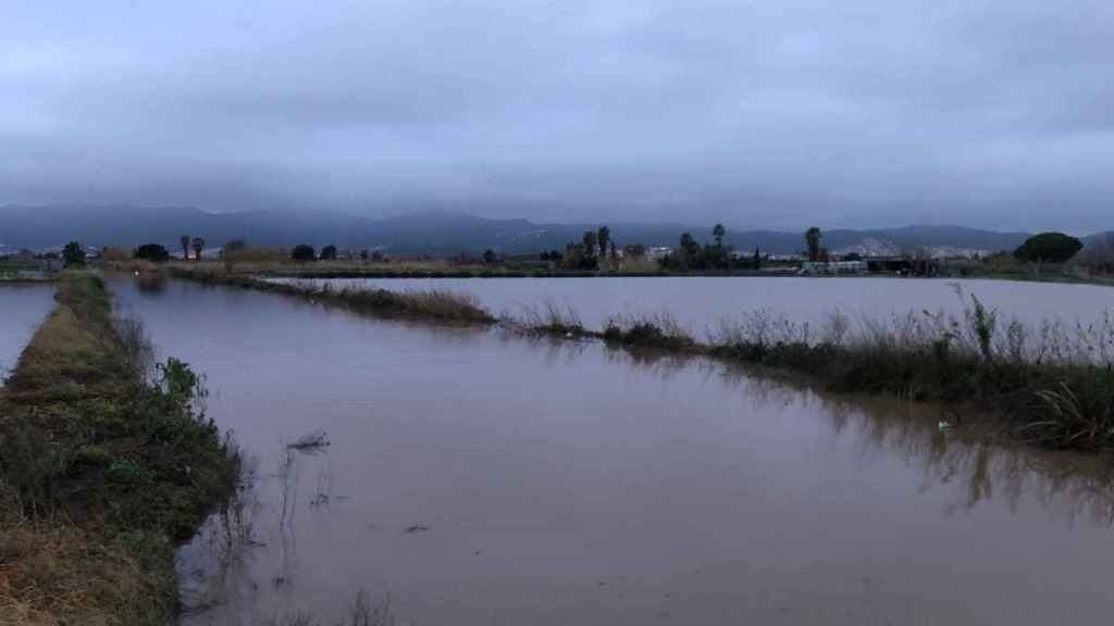 El Parque Agrario del Baix Llobregat, inundado por la borrasca Gloria / CG