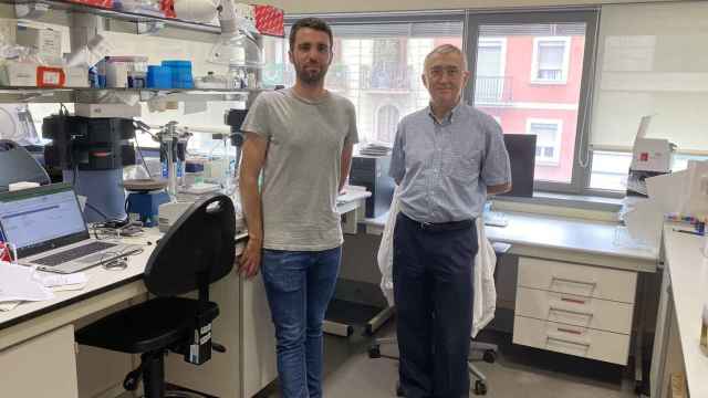 El investigador post-doctoral del Idibaps y del CIBERONC Ferran Nadeu, junto al director del Idibaps, jefe del grupo de Patología molecular en neoplasias linfoides y jefe de grupo del CIBERONC, Elías Campo / EP