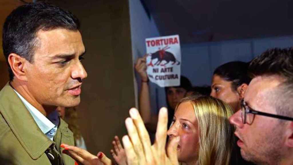 Un grupo de manifestante contra los toros se dirige a Pedro Sánchez tras intervenir en un acto del PSOE en protesta por el Toro de la Vega / EFE