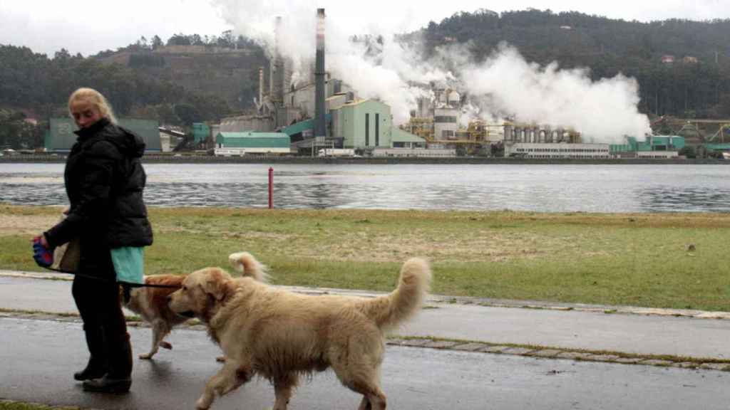 La papelera Ence se resiente en Bolsa del previsible cierre de la fábrica de celulosa en la ría de Pontevedra