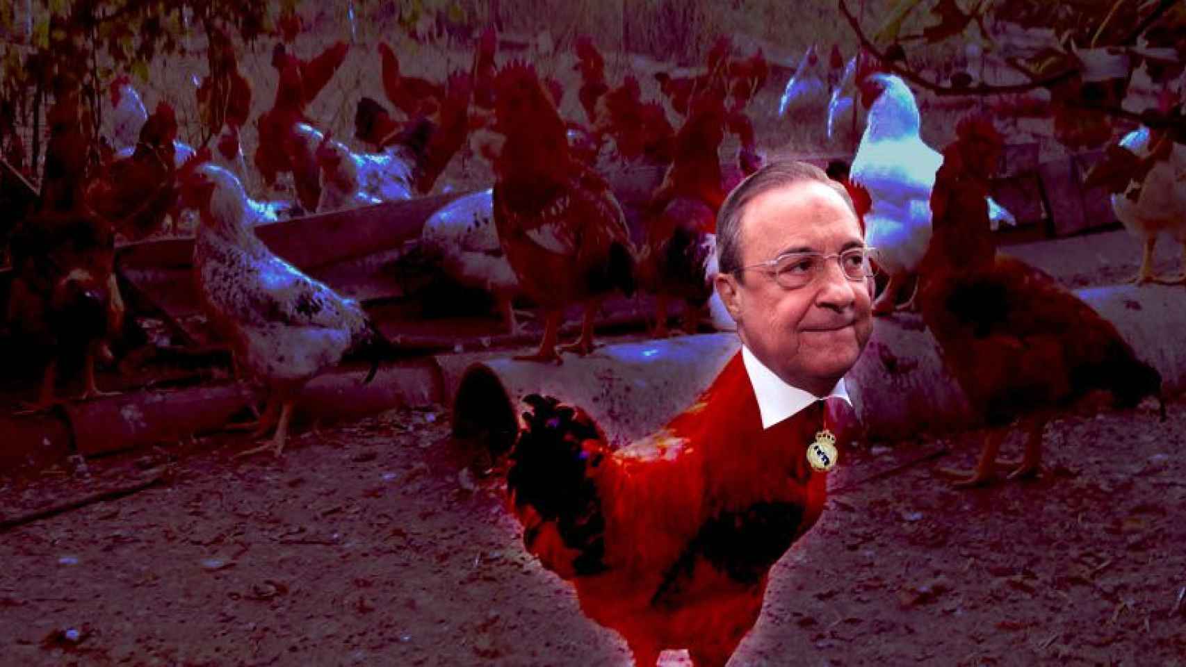 Florentino Pérez, de concejal a gallo del corral hispano