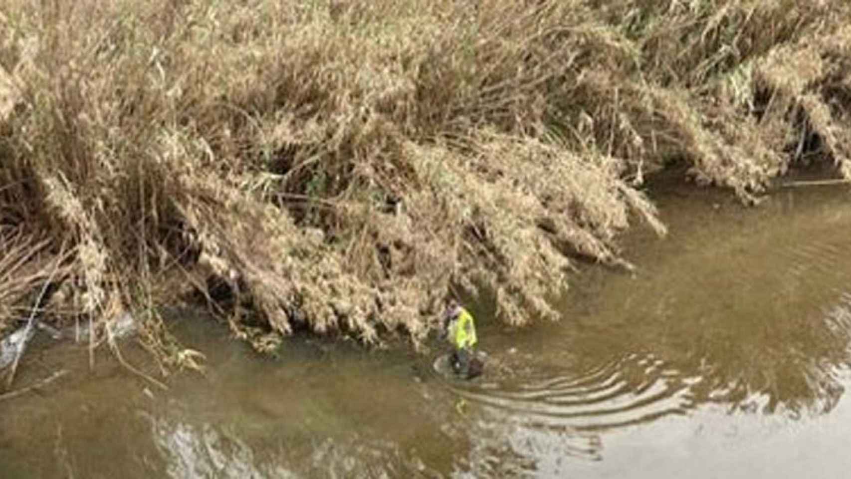 Técnico en el río Besòs / ACA