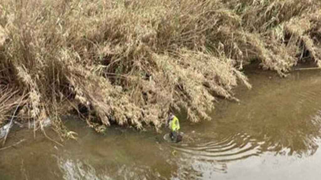 Técnico en el río Besòs / ACA