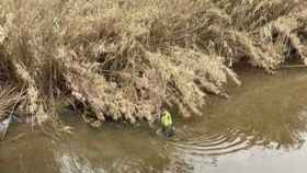 Técnico en el río Besòs / ACA