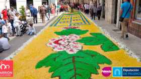 Alfombra floreada en la celebración de Carrion Corpus / ARCHIVO