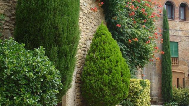 Vistas de Forallac / CG