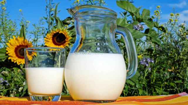 Una jarra y un vaso llenos de leche / CG
