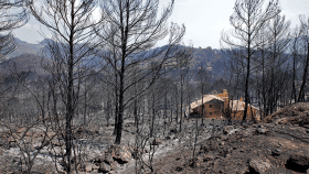 Una de las casas calcinadas por el incendio de Llutxent, que ya ha sido estabilizado / EFE