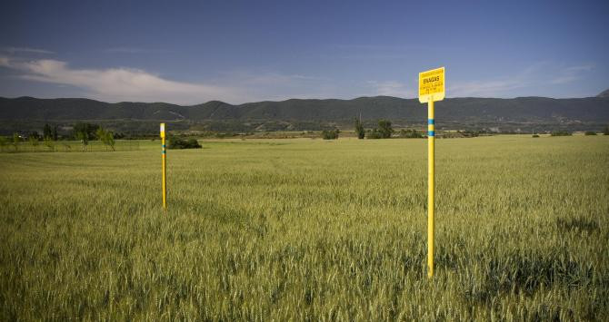 Las infraestructuras de Enagás están preparadas para transportar gases renovables / ENAGÁS