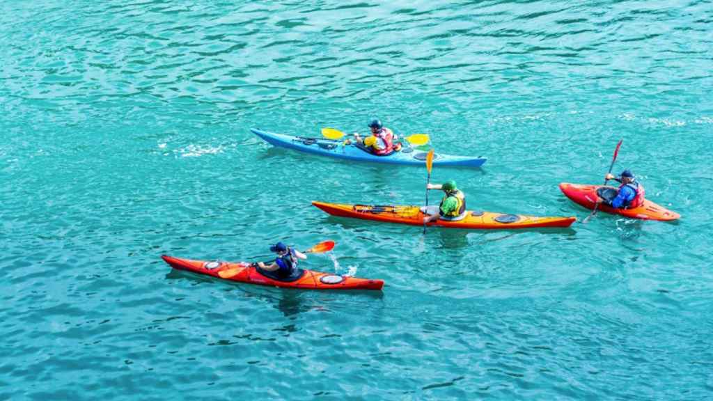 Cuatro remeros en kayaks