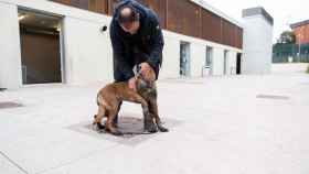 Unidad Canina de Mossos de Esquadra / Luis Miguel Añón (CG)