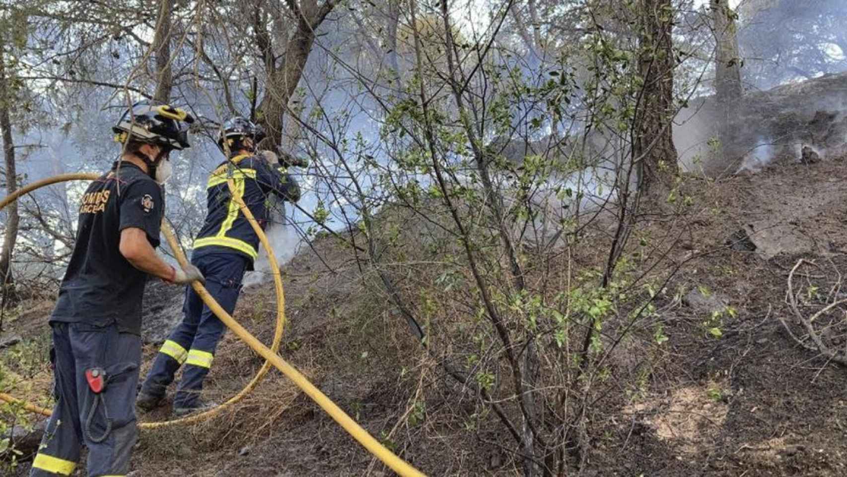 Bomberos interviniendo en un incendio en Collserola / BOMBERS