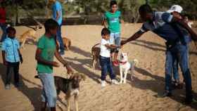 Una imagen de Aer junto a los perros que ha recogido de la calle.