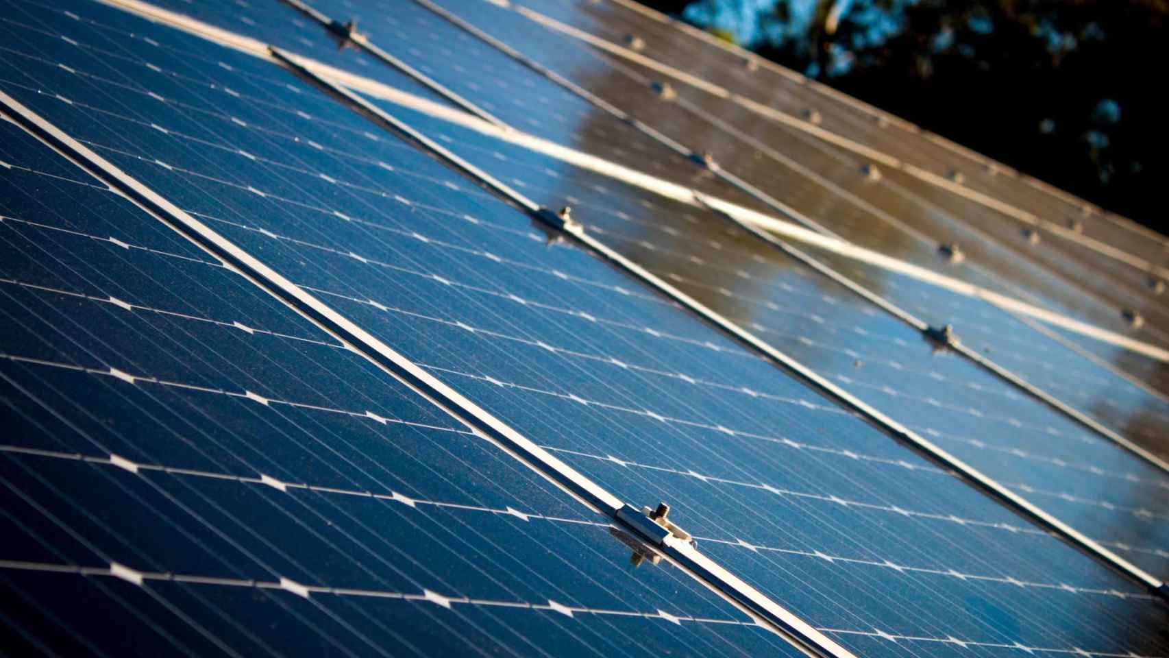 Paneles para energía solar, una de las renovables en pleno auge