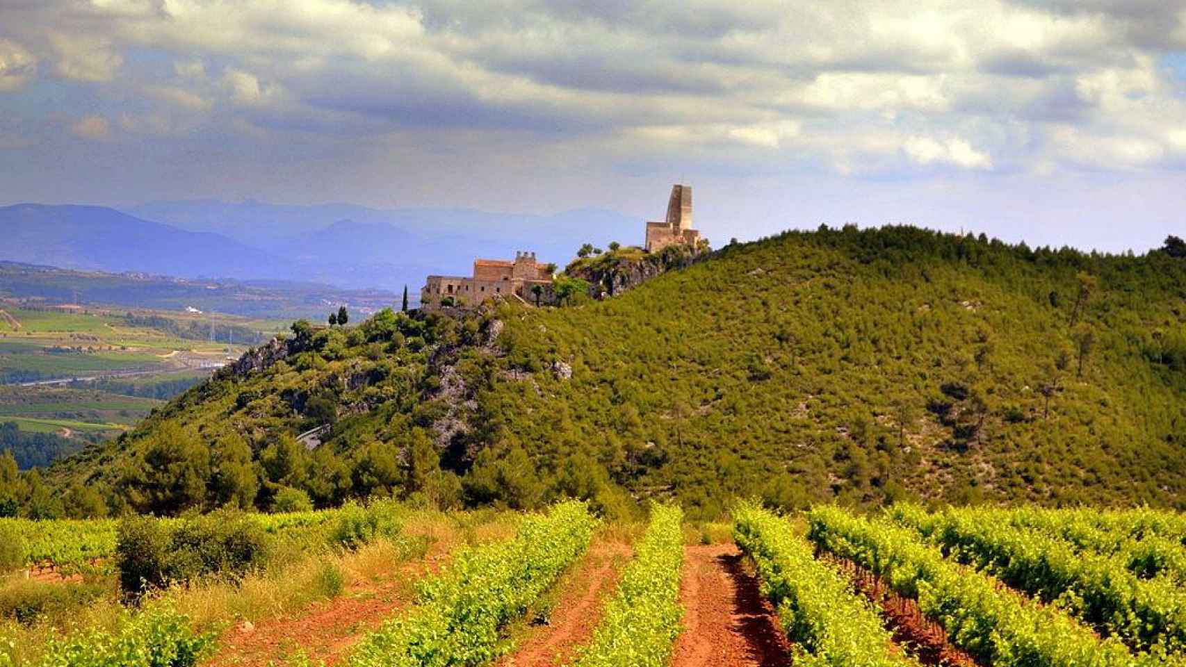 Localidad de El Penedès, una de las escapadas rurales de Cataluña para realizar en el puente de diciembre / Angela llop - CREATIVE COMMONS 4.0