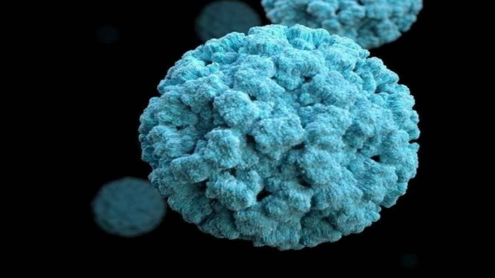 Imagen ampliada de un norovirus