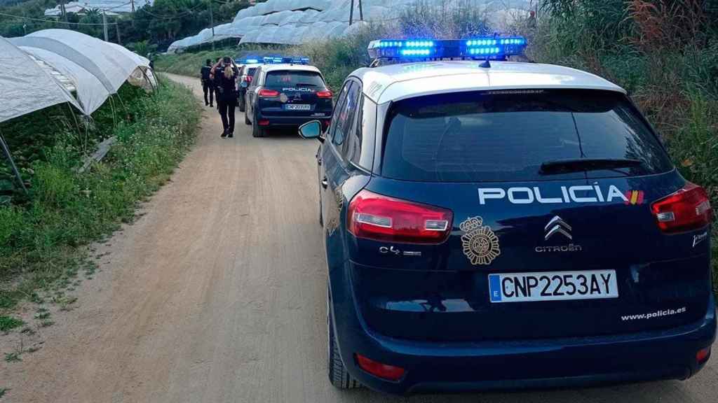 Operación policial en una explotación agrícola en la que se ha desmantelado una presunta trama de regularización fraudulenta de extranjeros / POLICÍA NACIONAL