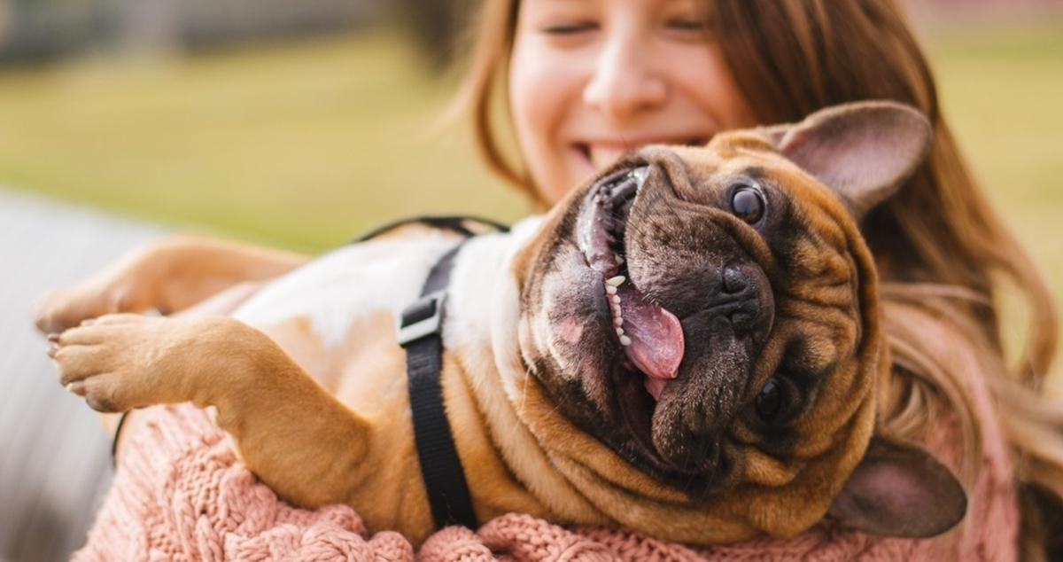 Un perro se divierte con su dueña / EUROPA PRESS