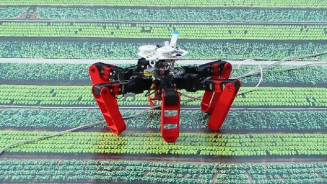 Robot AntBot / CNRS - AMU