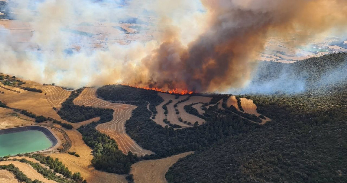 Incendio en Artesa de Segre, que arrasa ya 75 hectáreas de terreno agrícola y forestal / AGENTS RURALS