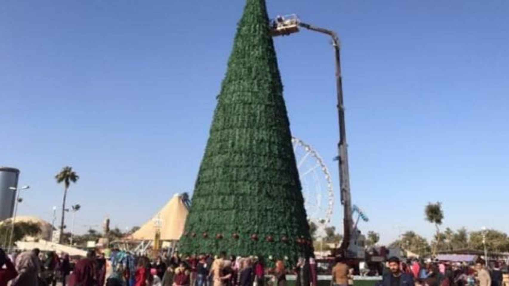 Una imagen del árbol publicada por 'The Telegraph'