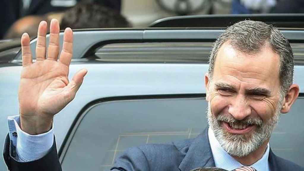 El Rey, Felipe VI, representante de la monarquía española / EFE