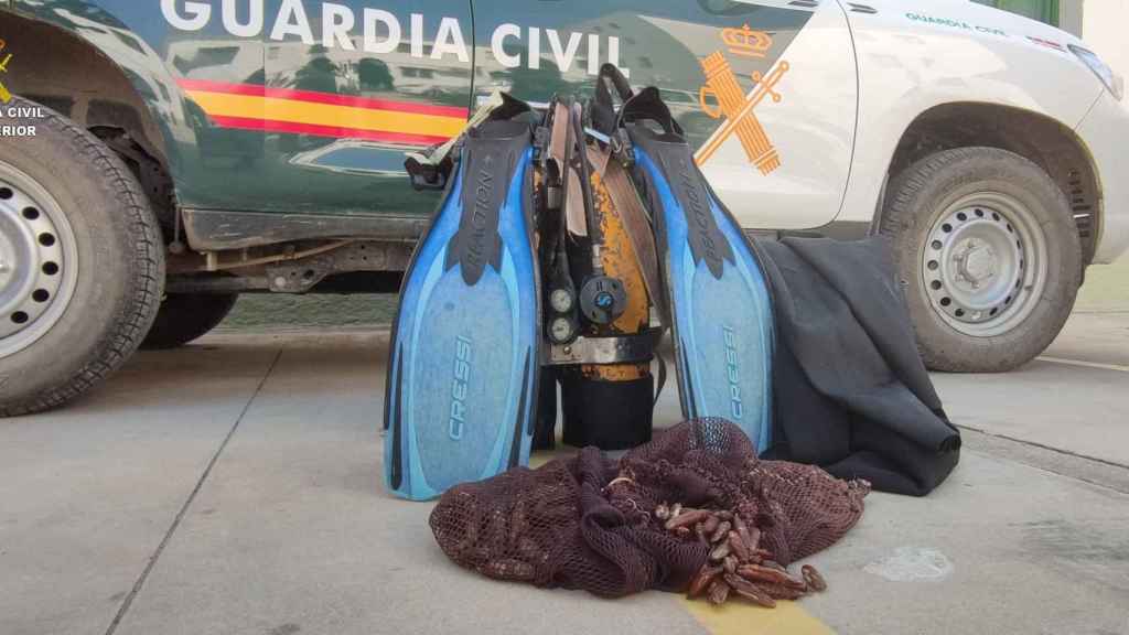 La bolsa con los dátiles incautada por la Guardia Civil / GUARDIA CIVIL