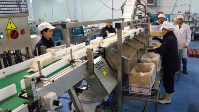 Instalaciones de procesado de bacalao de Nord King en Laredo / CG