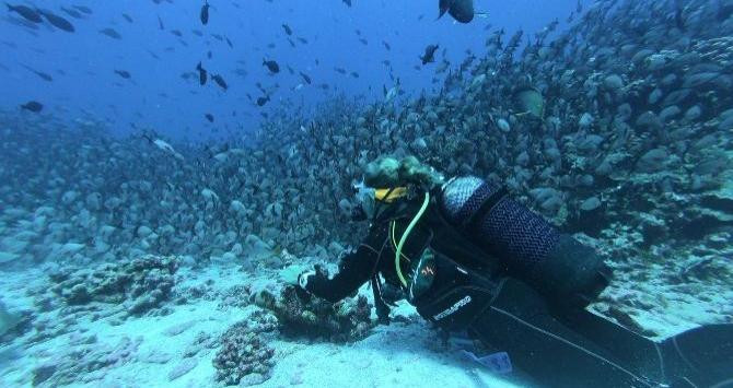 Practicando buceo, actividad que se puede hacer en las Islas Medas / Hallie Heeg en UNSPLASH