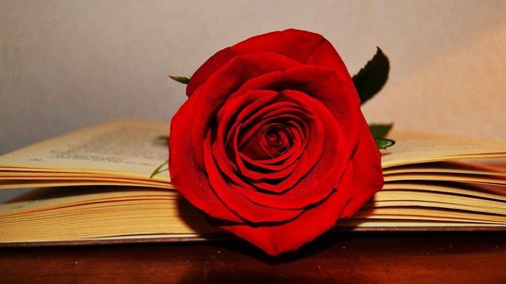 Un libro y una rosa, los símbolos de Sant Jordi  / MARME BEL EN PIXABAY