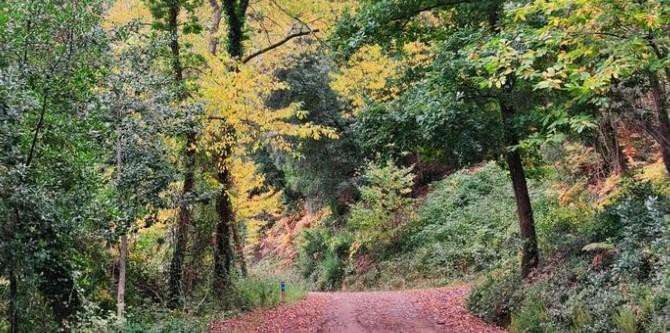 Imagen bucólica del parque Montnegre i el Corredor / DIPUTACIÓN DE BARCELONA