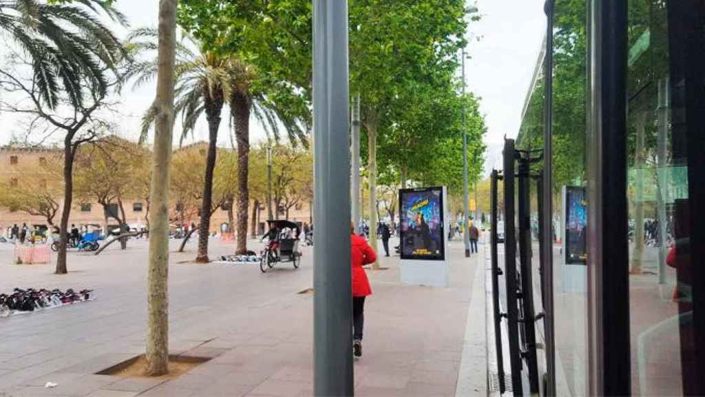 El Paseo Juan de Borbón, sin la habitual presencia de manteros / CG