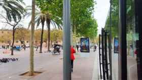 El Paseo Juan de Borbón, sin la habitual presencia de manteros / CG