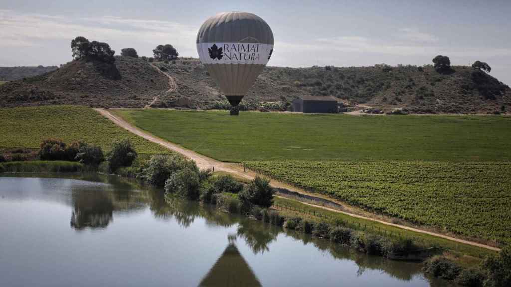 Espacio de Raimat Natura en Lleida / RAIMAT