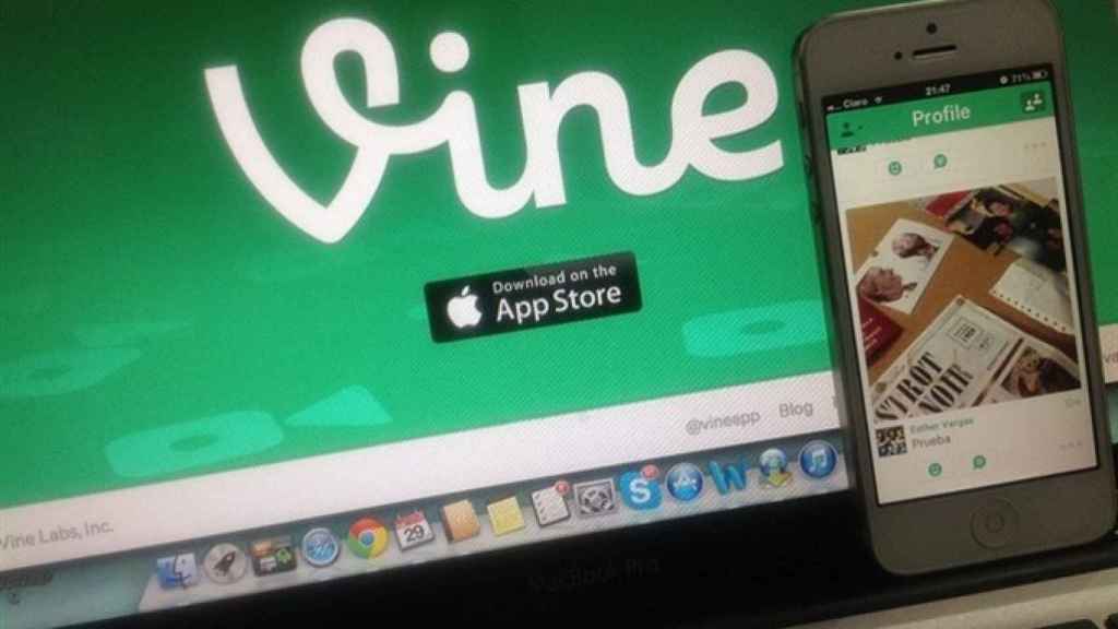 Vine