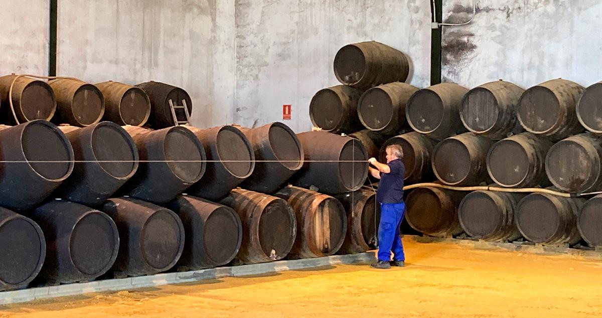 Bodegas de la Cooperativa Vitivinícola Albarizas de Trebujena / VINOS DE ALBARIZAS