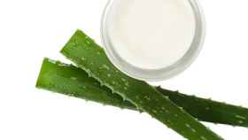 Crema de aloe vera para proteger la piel contra el frío / PIXABAY