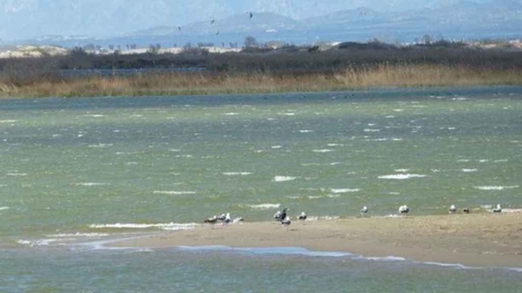 Imagen del Delta del Ebro, cuya gestión enfrenta a Aragon y Cataluña / EUROPA PRESS