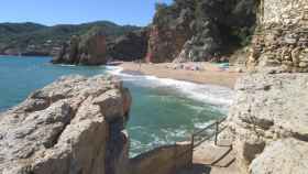 Playa de la Illa Roja de Begur, tradicionalmente nudista / ACA