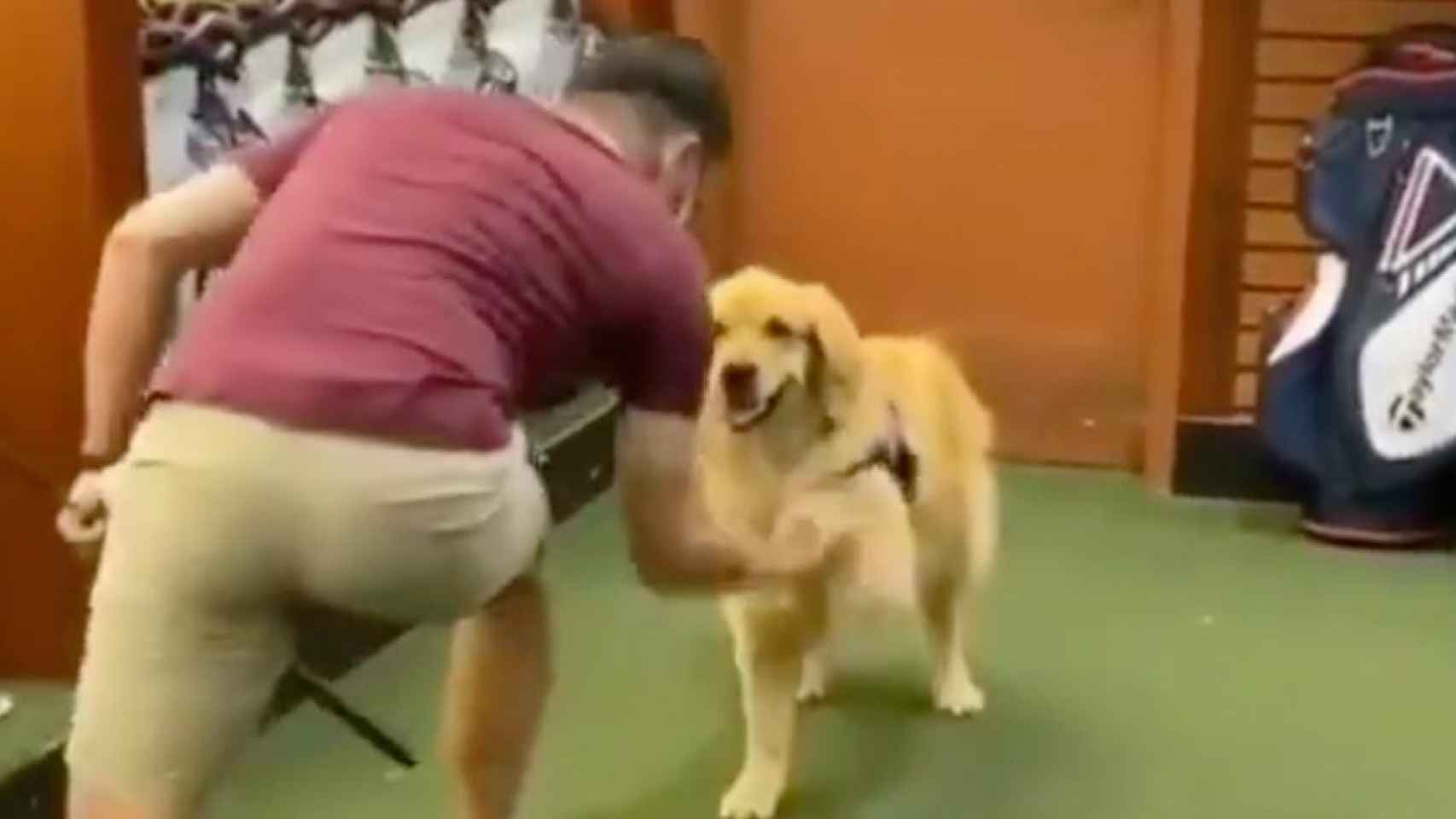 Un hombre y su perro celebran su acierto en el golf / TWITTER